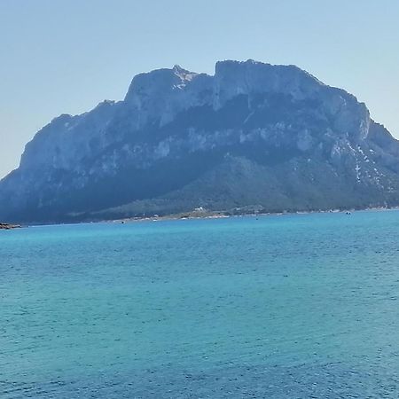 Aria Di Vacanza - Molara Loiri Porto San Paolo Ngoại thất bức ảnh