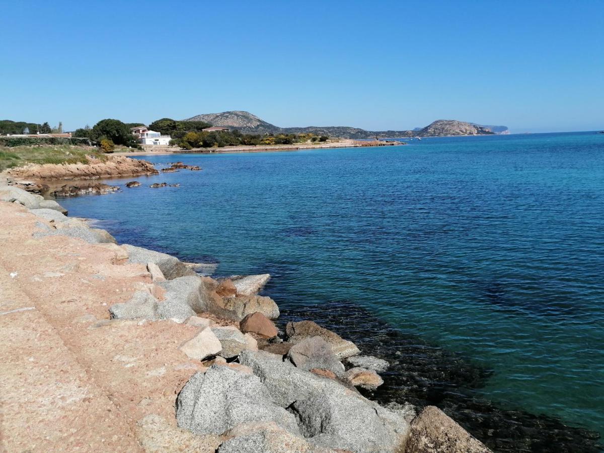 Aria Di Vacanza - Molara Loiri Porto San Paolo Ngoại thất bức ảnh