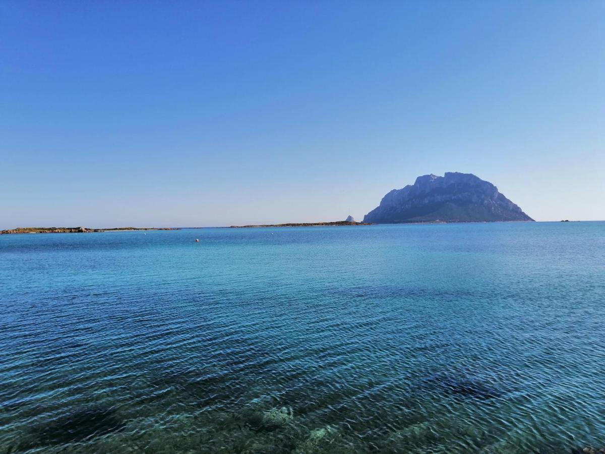 Aria Di Vacanza - Molara Loiri Porto San Paolo Ngoại thất bức ảnh